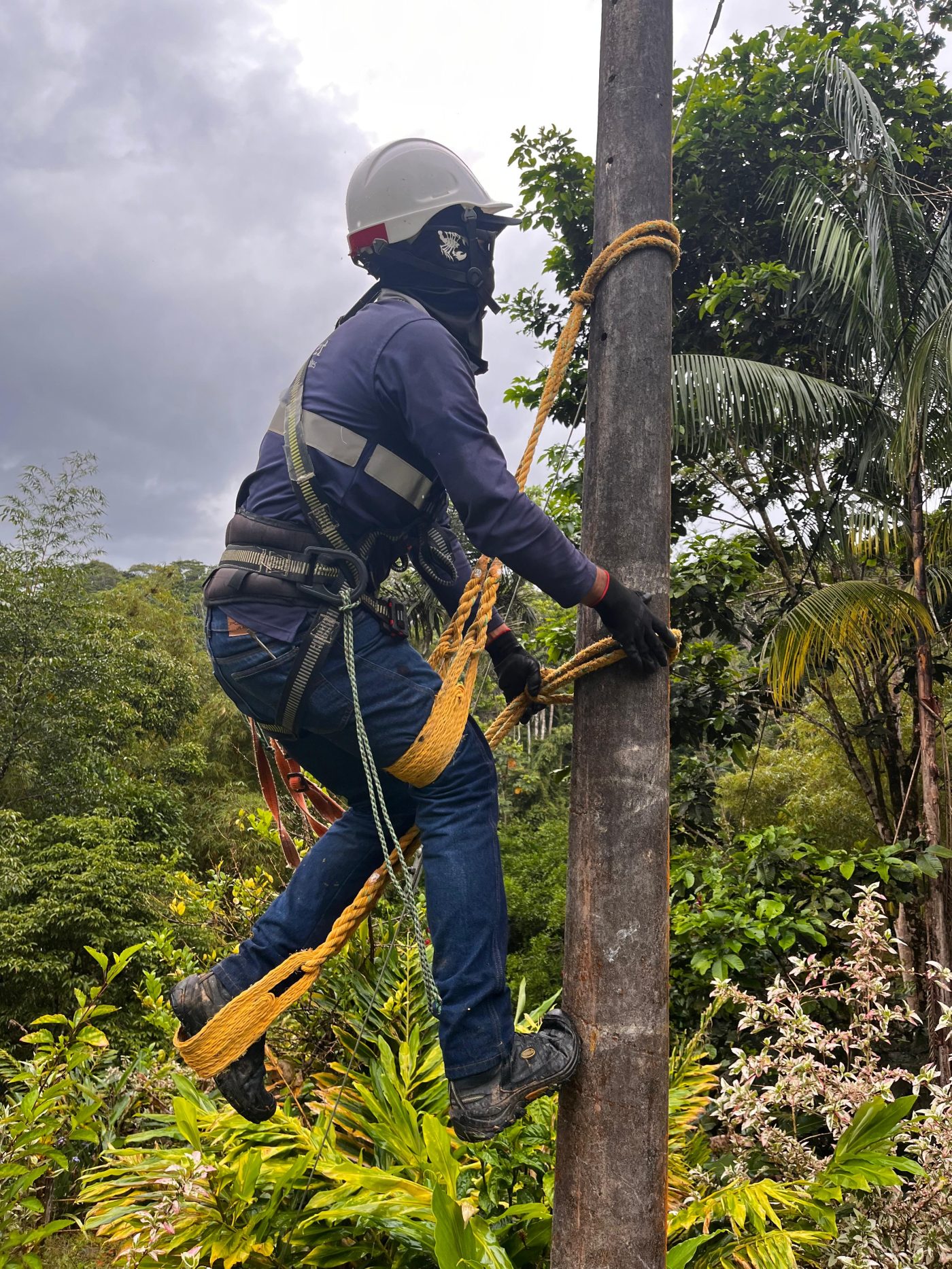 Trabajo en campo